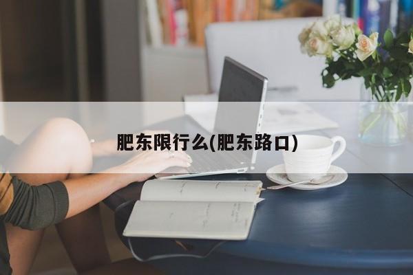 肥东限行么(肥东路口)
