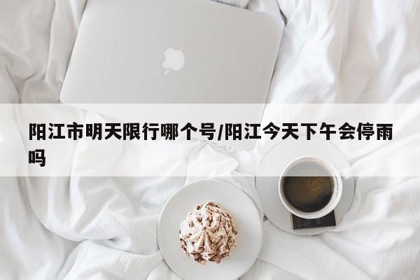 阳江市明天限行哪个号/阳江今天下午会停雨吗
