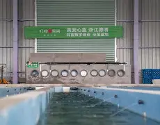 我来教大家“金州水鱼开挂器”(透视)其实确实有挂